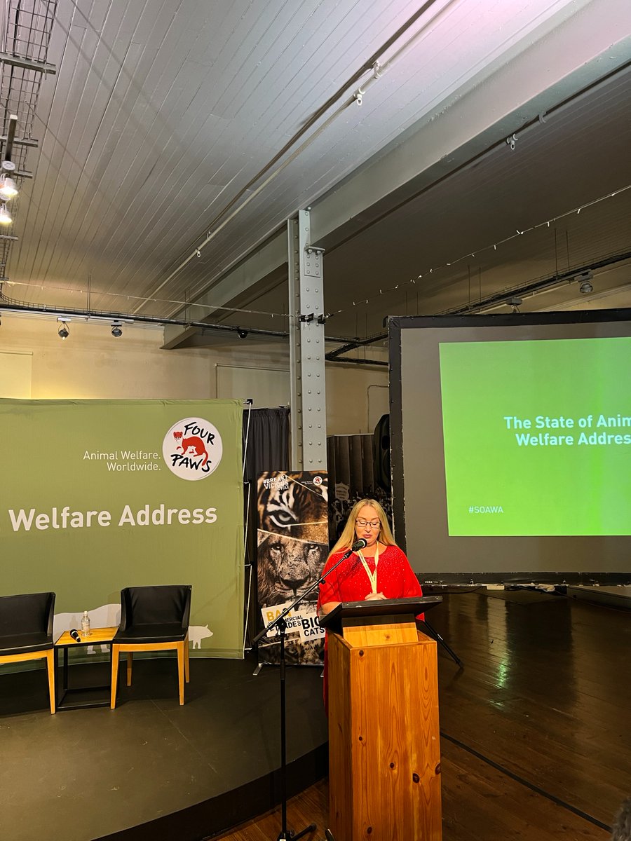 As we mark three years since the intention to ban the captive lion industry in South Africa, let us push for implementation with time-bound goals. Animals deserve better- Fiona Miles, Director at FOUR PAWS, South Africa. #SOAWA #EndCaptiveBreeding of our big cats.