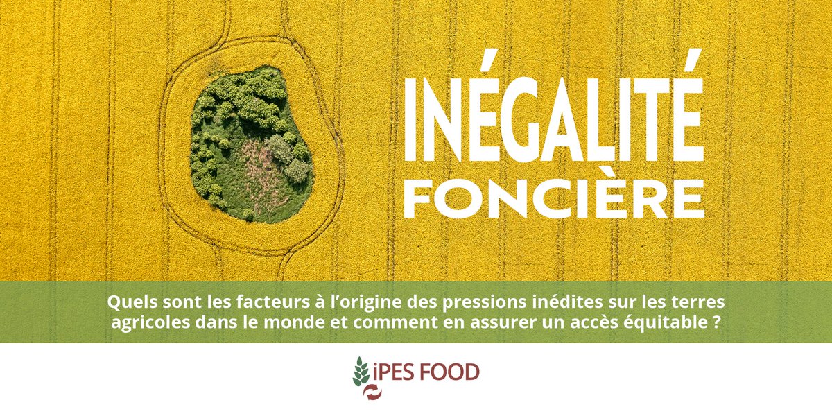 📢NOUVEAU RAPPORT

👉🌍👈#InégalitéFoncière
Le prix des #terres a doublé en 15 ans, il est temps d'en parler. Les agriculteurs &amp; la production alimentaire sont de nouveau menacés par l'accaparement des terres dû à la haute finance &amp; les marchés carbone.
➡️ipes-food.org/fr/report/ineg…