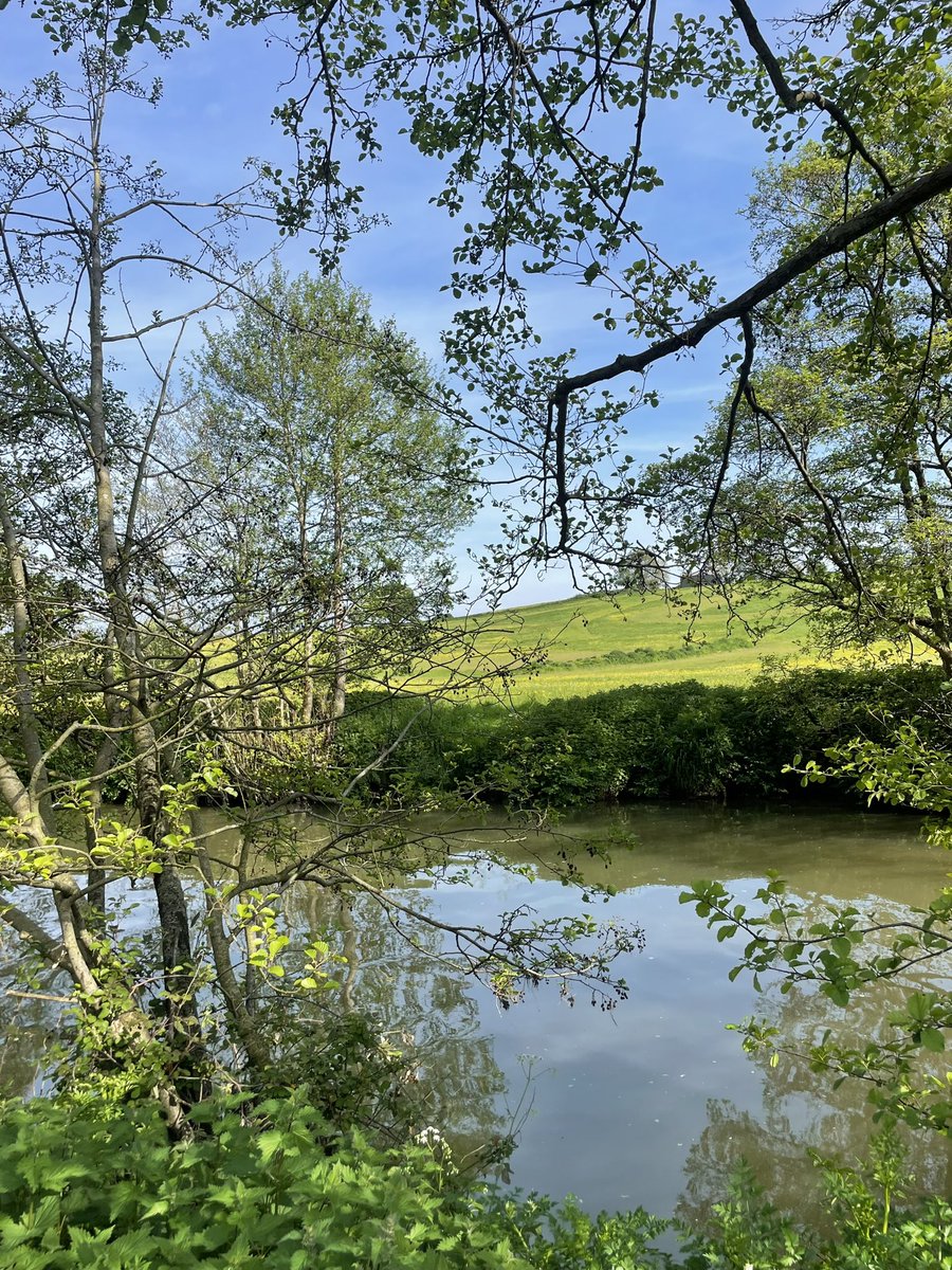 A river swim fixes many things.