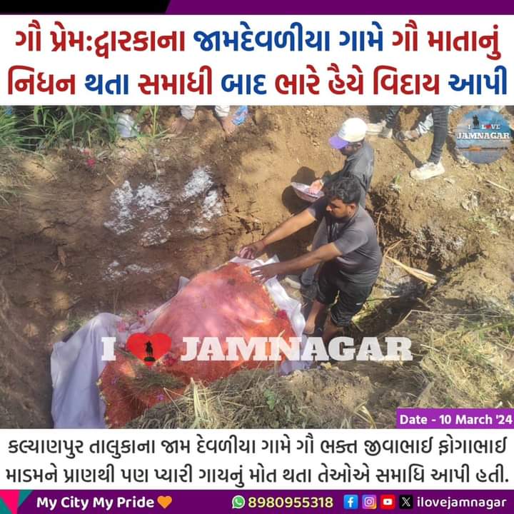 હાલારના ગૌ સેવા પ્રેમને સલામ.

#ilovejamanagar #Jamnagar #Gujarat #cow #Kalyanpur #Devbhumidwarka #dwarka