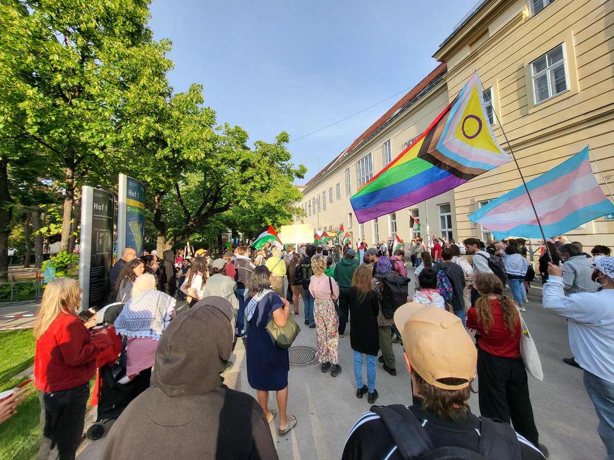 En la concentración en Viena contra el desalojo del campamento de estudiantes de la @univienna. El movimiento de solidaridad estudiantil se extiende por todo el mundo, es imparable. #FreePalaestine