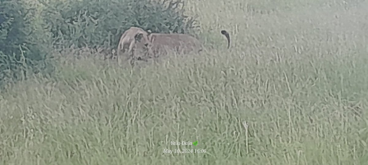 Kenya Chemical Society (KCS) tweet media