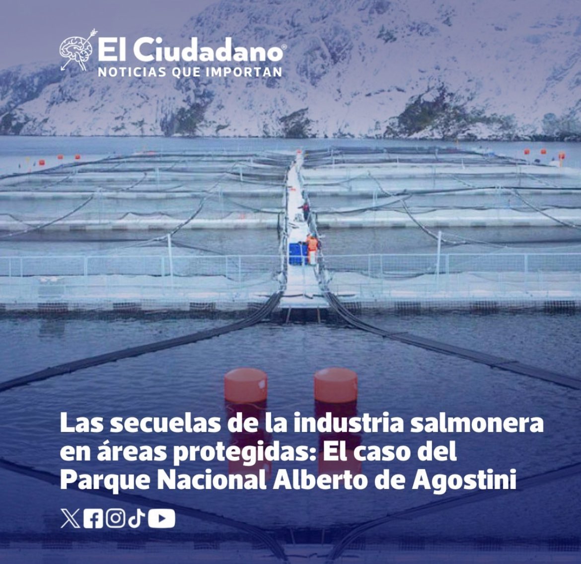 elciudadano.com/actualidad/las… Te dejamos aquí : Las secuelas de la industria salmonera en áreas protegidas. El caso del Parque Nacional Alberto de Agostini Este lugar en la #Patagonia austral, región de #Magallanes, único en el mundo, que debería destacar por su belleza, su fauna, ha