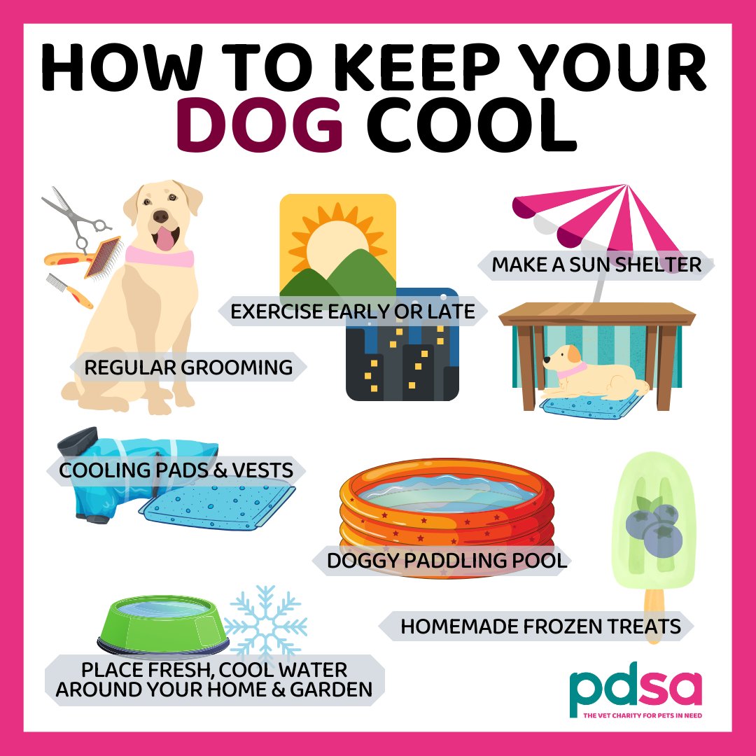 As the hot weather approaches this weekend, we thought it would be a pawfect time to remind you of our top tips on how you can keep your dog cool 🐕 It’s important to do all we can to keep our pooches cool, to prevent serious illnesses such as heatstroke🌡️