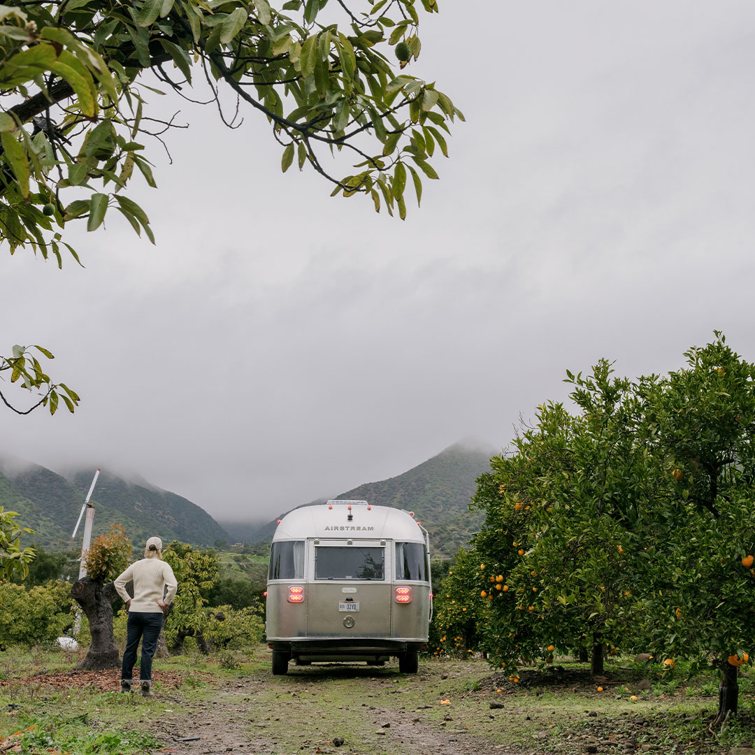 magnolianetwork's tweet image. Chef Erin French and her husband, Michael, travel across America to discover ideas for new recipes for their restaurant The Lost Kitchen in Freedom, Maine.

Watch the series premiere of #GettingLost with Erin French Sunday, June 23 on #MagnoliaNetwork.