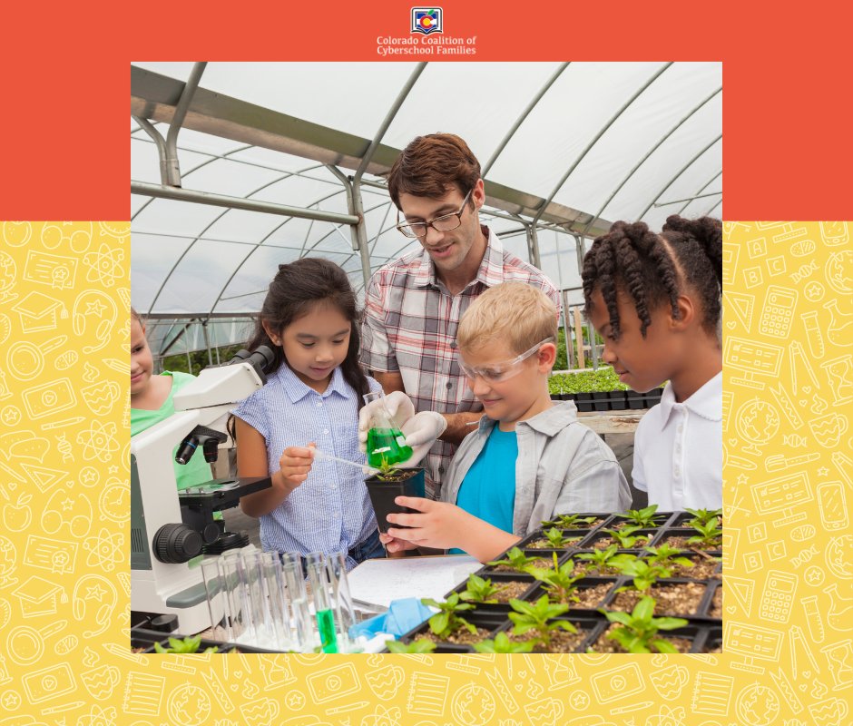 Babylon Micro-Farms introduced The STEM Garden, a hydroponic unit tailored for K-12 schools. It aims to enhance science ed, offering a practical learning experience, giving students hands- science and ag ed right in the classroom. #STEMEducation 💡🌱📚 ow.ly/QJsC50RsJc3