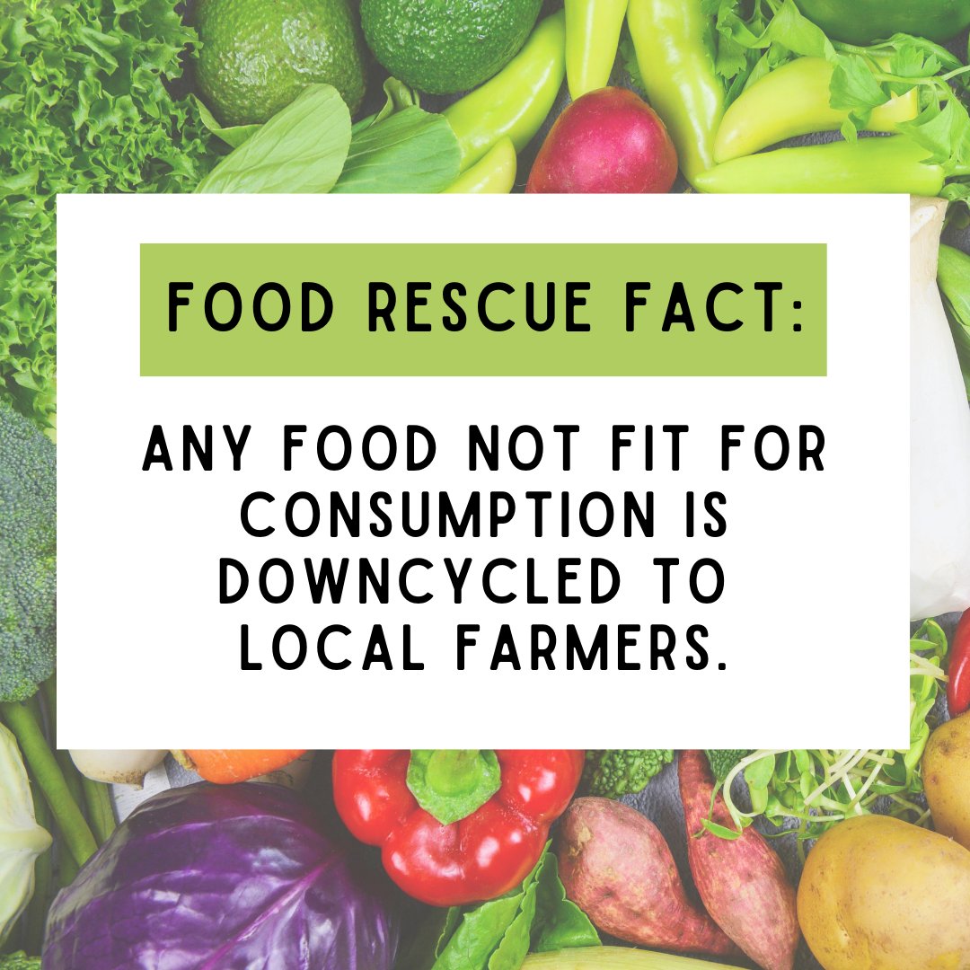 🌟 Did you know that any food not fit for consumption doesn't go to waste? 🍏🥕 

We're committed to reducing waste in landfills by downcycling it to local farmers for compost or animal feed. 🌱🐄

#FoodRescue #okanagan #kelowna #westkelowna #jointhefoodmovement #nonprofit 🌍♻️