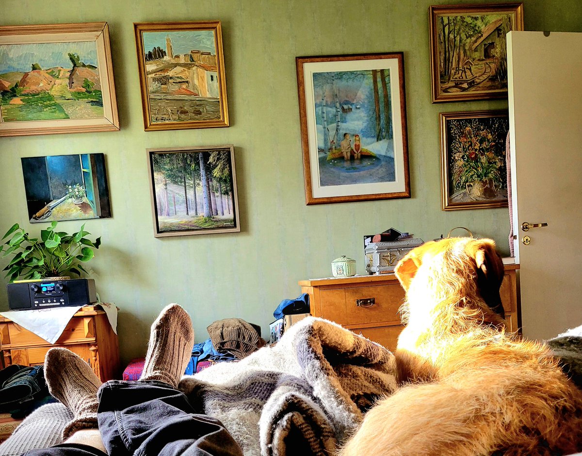 BerghConny's tweet image. Chester har koll på mig och Bucky  på resten av huset. Kan och orkar inte längre följa med ut och ta en Guinness...