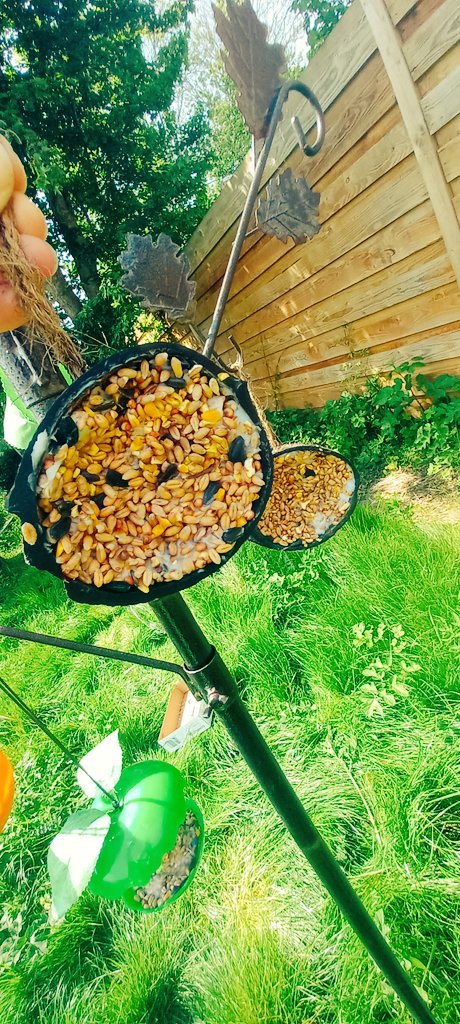 Our Eco and nature club has been working hard to provide the birds with a stable source of nutrition. We look forward to welcoming our feathered friends to our Nature Nook. @RSPBCymru @_OLW_