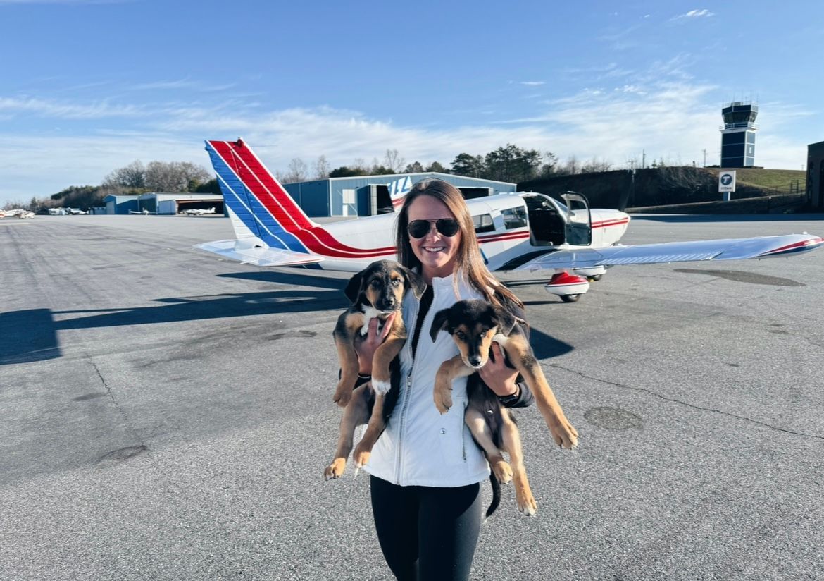 These siblings were in an overpopulated shelter & needed to get to their fosterers Bart, Steve & Jessy in FL, but that meant they had to travel from Hickory, NC to get there. It was the first PNP rescue mission for Pilots Brooke & Chris, covering 1200 mi. Thank you!✈️#pilotsnpaws