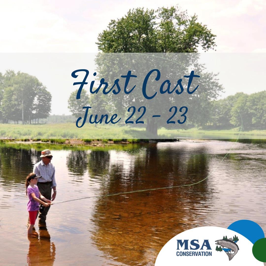 MSA's 12th Annual First Cast will take place on June 22nd and 23rd. This is a complimentary, all-ages event where anglers, with the help of volunteers from the MSA, can introduce friends and family to the sport of fly-fishing. To register, please visit: miramichisalmon.ca/first-cast/