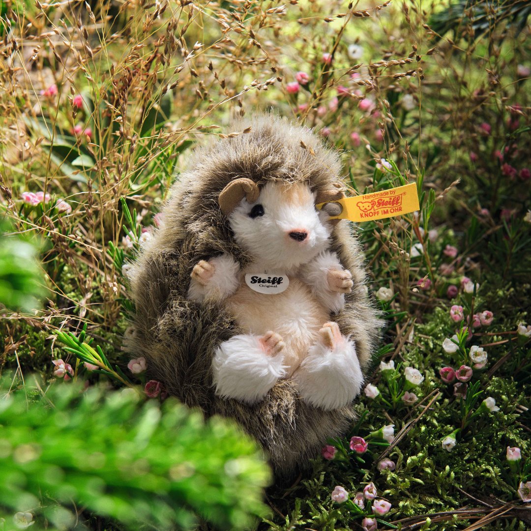 Can't handle the cuteness of Steiff Joggi the baby hedgehog! 😍🦔

Available now: ow.ly/n1XZ50Ryh5V

#Steiff #knopfimohr #explore #teddys #toys #teddybear #Collectables #BearCollectables #teddybearland #steiffteddy