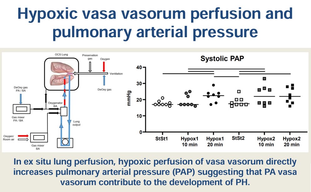 Our final #ArticleinPress of the week is a #ShortReport from teams at @ChariteBerlin and @MHH_life! #Hypoxic perfusion of pulmonary arterial vasa vasorum increases pulmonary #arterial #pressure (Emma Heise et al.):

ow.ly/434F50RArLy
