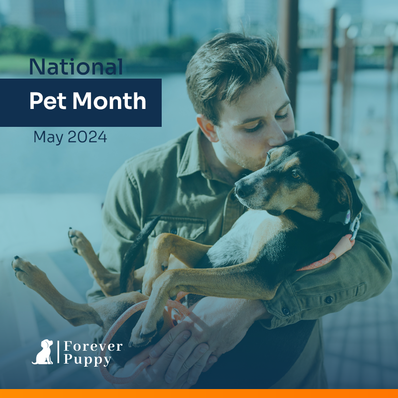 May is National Pet Month! 🐾

Make sure you give them some extra love this month 😍

What is your favourite thing about your dog? 🐶

#NationalPetMonth #LoveDogs #PetMonth