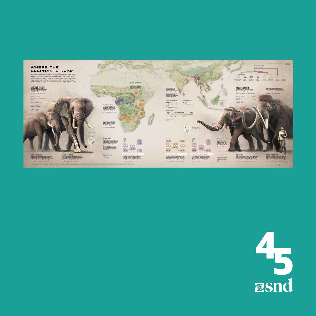 🥇 A #SND45 Print gold medal in Staff Portfolio: Information Graphics goes to @NatGeoMag for its cartographic portfoilio.