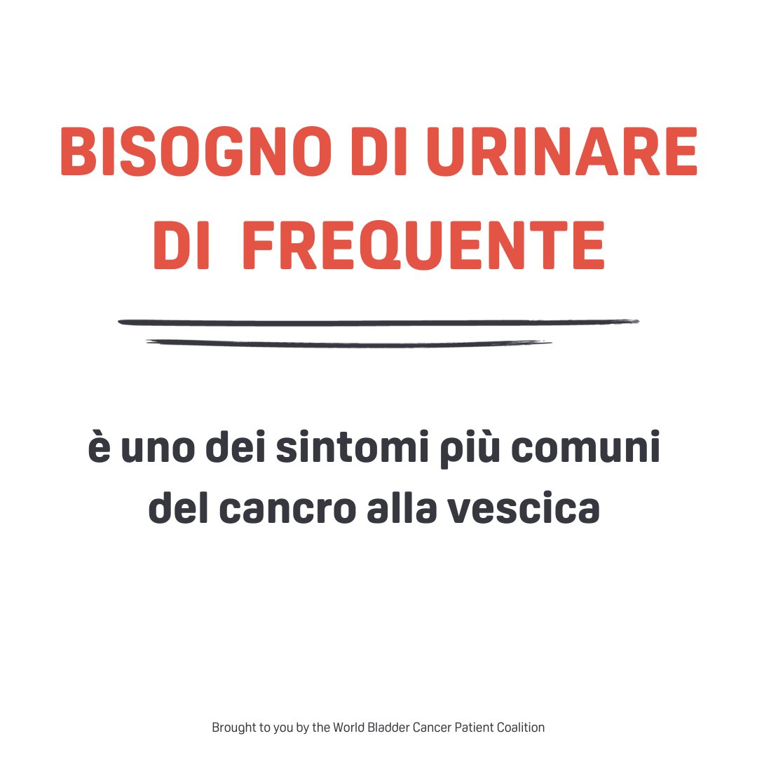 Ricordate che la diagnosi precoce è la chiave per un trattamento più efficace e una guarigione più rapida - Se vedete 🩸 nelle urine, fatevi controllare!
@worldbladdercancer #BladderCancerMonth24 #mesetumorevescica24 👉 associazionepalinuro.com/cosa-facciamo/…
