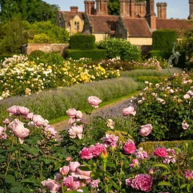 Have you voted for your favourite #RHSPartnerGarden yet? 🌸 Celebrate these special places, and the people who care for them, by voting for your favourite “feel good” garden: rhs.org.uk/gardens/partne… 📸 Ham House and Garden (left) and Borde Hill Garden (right)