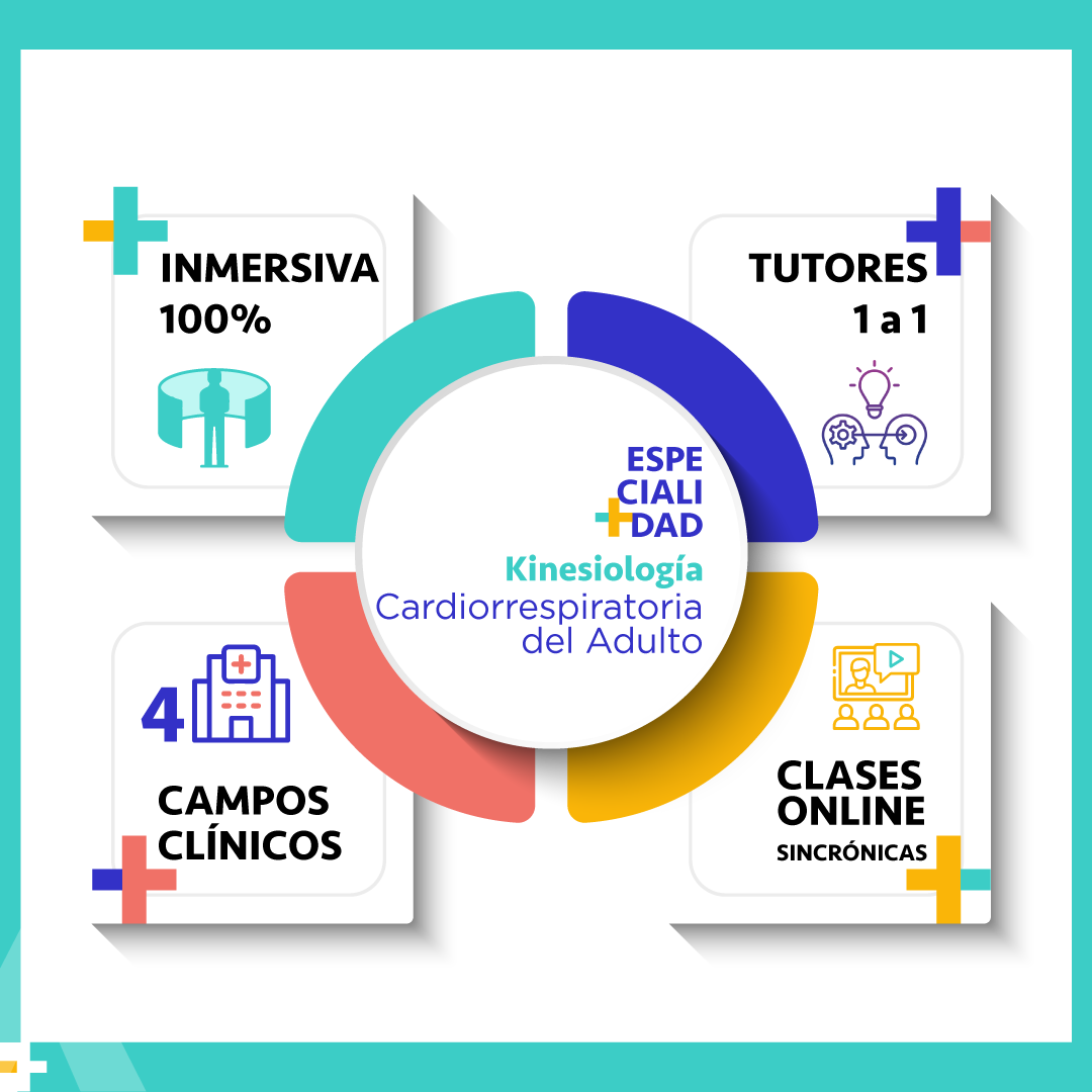 Todo esto te espera en la especialidad Cardiorrespiratoria del Adulto.
En la UC puedes ser parte de los profesionales del mañana. Inscríbete ya al postítulo que cambia las aulas por los centros clínicos para generar un impacto en la salud del país.
rb.gy/owhv5o