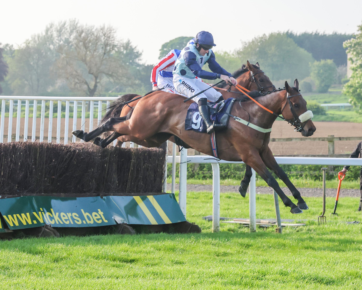 RACE 2: 2m1f AK Bets Home Of Free Bets Handicap Chase 🏆 Tropical Talent Owner: The Oldcastle Racing Syndicate Jockey: Henry Brooke Trainer: Oliver Greenall & Josh Guerriero 41