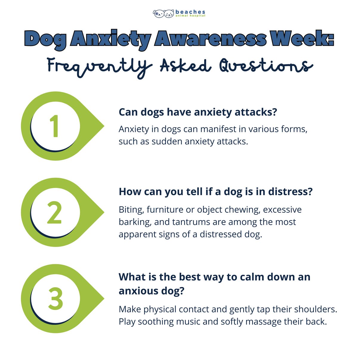 We're answering your questions about Dog Anxiety Awareness Week! The best way to support your anxious pup is by educating yourself and spreading awareness.

#love #instagood #cute #pet #petstagram #photooftheday #instamood #adorable #instapet