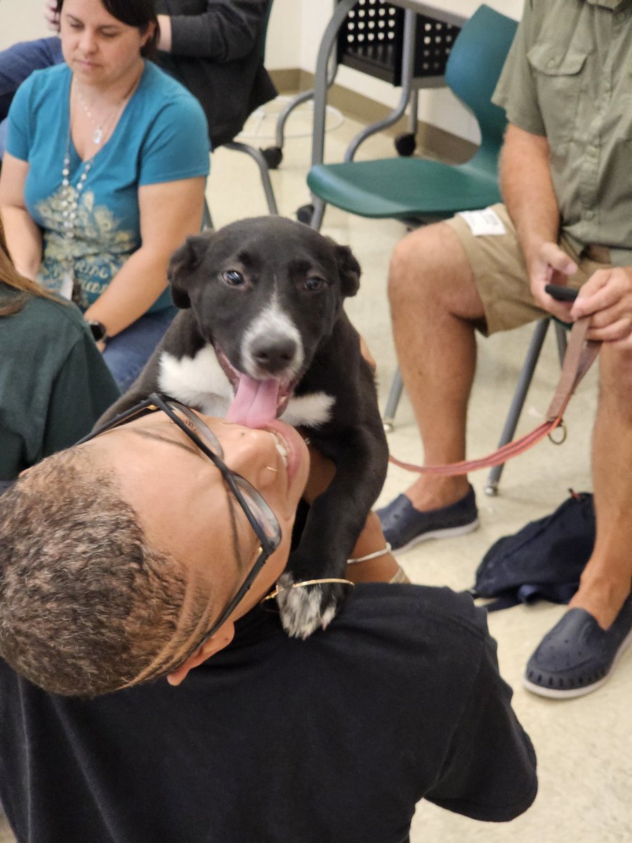 TheCoyoteWay's tweet photo. It's Puppy Day at The Creek! Happy de-stress day for our staff! Thank you to Suncoast Animal League for the visit! https://t.co/hX1QKhnuqi
