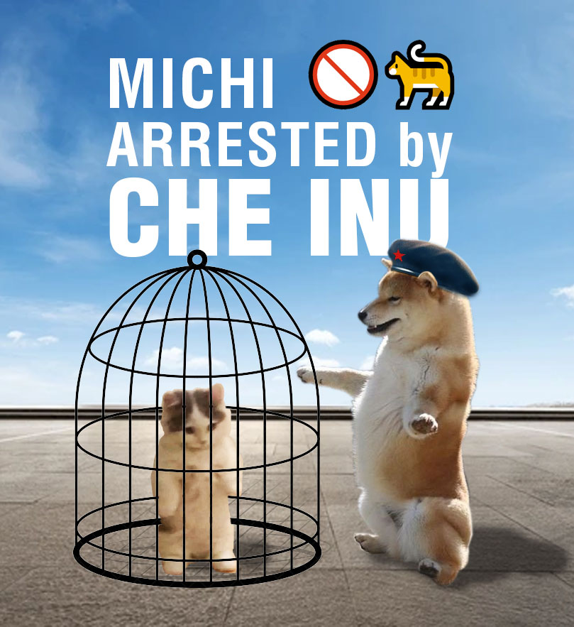 cheinumeme's tweet photo. @apatheticwhale You can go out in the streets safely, Che Inu has arrested MICHI. 🚫🐈 https://t.co/Lhru9Xefpx