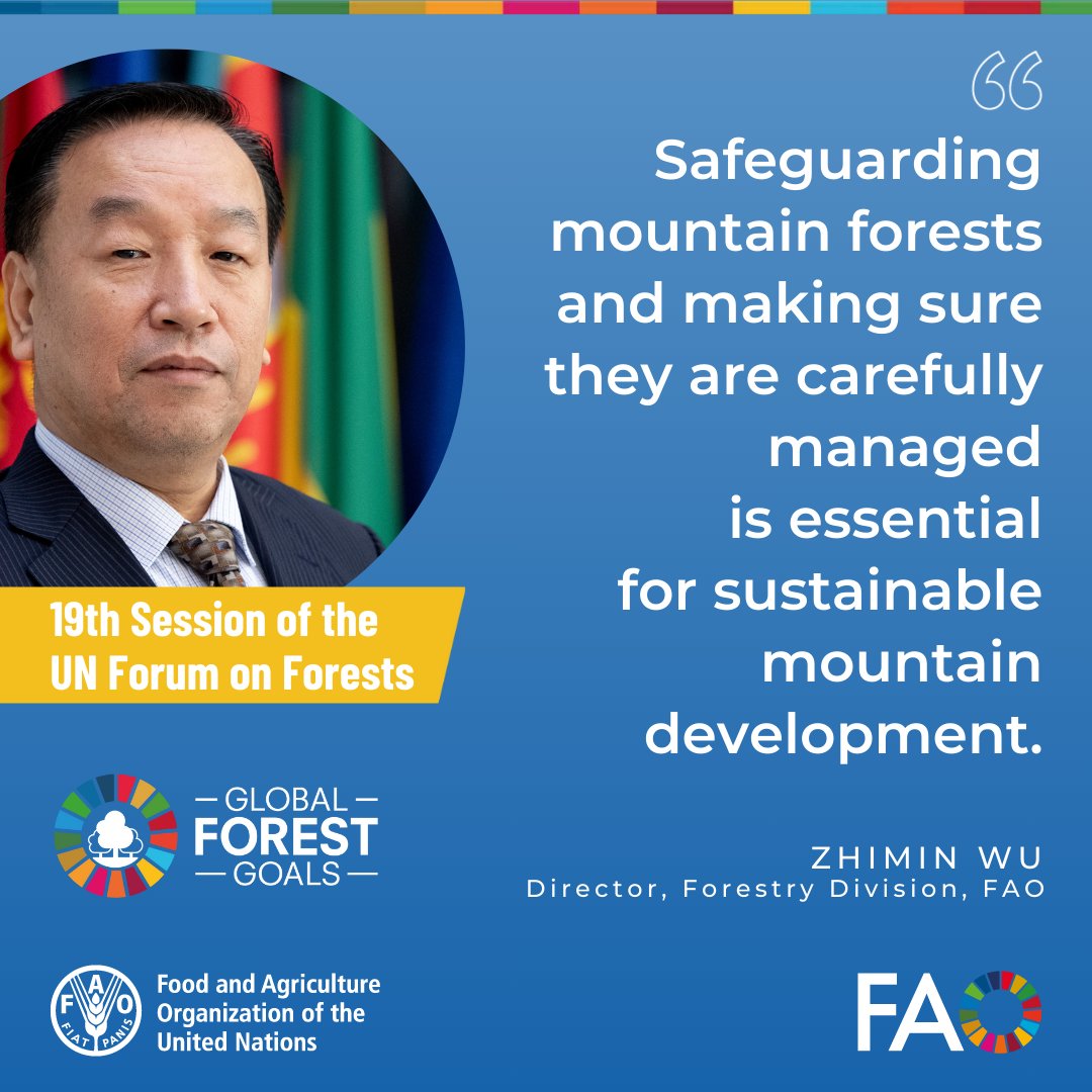 'Safeguarding mountain forests and making sure they are carefully managed is essential for sustainable mountain development.' @FAO's Zhimin Wu tells #UNFF19 side event #MountainsMatter @UNMountains