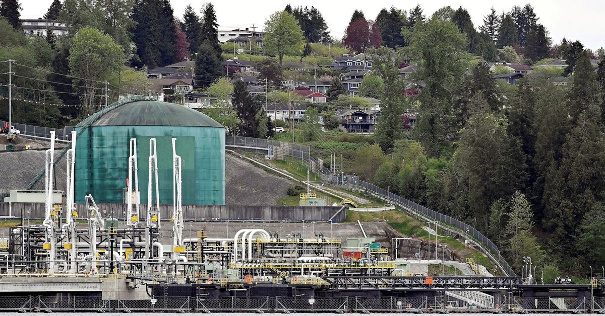 Canada's Pembina plays down potential investment in Trans Mountain pipeline reut.rs/4bxTwk5