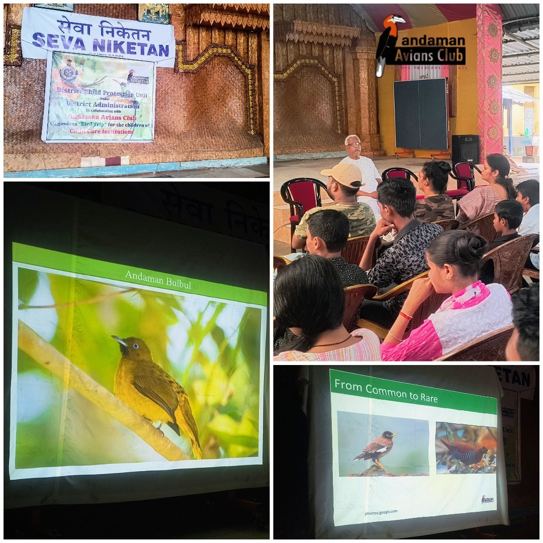 ANDAMAN AVIANS CLUB tweet media