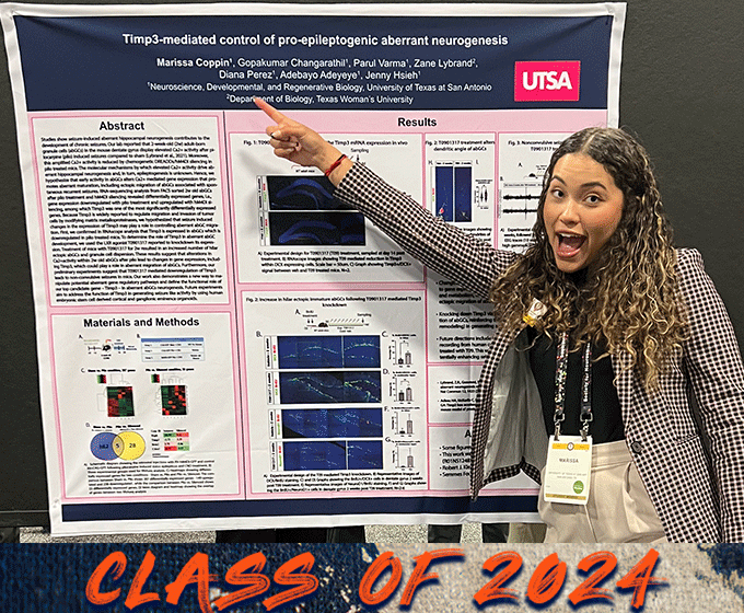 utsabrainhealth's tweet photo. Congrats to all our graduating 'Runners, you did it!! Class of 2024 #BirdsUp 
Tooting our own horn is @MariCoppin24 featured in this UTSA Today article, check it out here: https://t.co/LcP8AjsWyc
@UTSASciences @UTSANeuroDevRe1 @UTSAResearch https://t.co/Lr4SgkoCL9