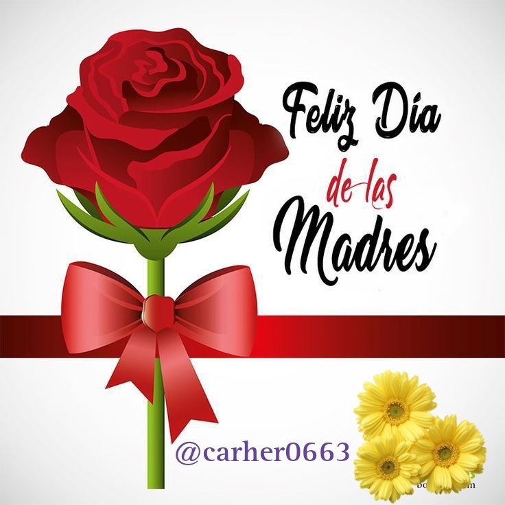 ✴✶ 🎀 🅕🅔🅛🅘🅩 🅓🅘́🅐 🅓🅔 🅛🅐 🅜🅐🅓🅡🅔🎀 ✶✴ Mamá, tu ternura y cuidado son mi mayor tesoro. ¡Feliz día de las madres! ⁣♛꧁💖💞༒𓆩❤️𓆪༒💕💖꧂⁣♛•°