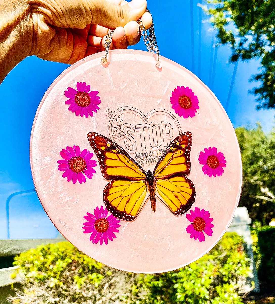 This cutie is looking for a eternal home🌷✨🦋
