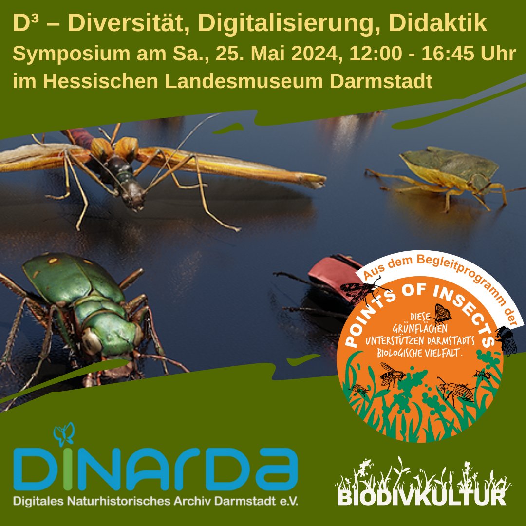 D³ – Diversität, Digitalisierung, Didaktik – Symposium   Sa., 25. Mai 2024, 12:00 - 16:45 Uhr im Landesmuseum Darmstadt: Hauptvortrag vom neuen Direktor des Naturkundemuseums Karlsruhe, Prof. Dr. Martin Husemann: