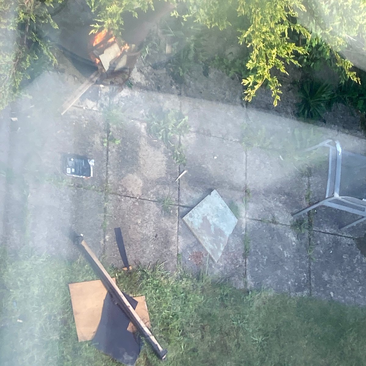 Oh no, it's X tweet media