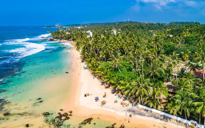 AUCTION - Dreaming of sun soaked adventures? How about 6 nights exploring all #SriLanka has to offer. From stunning beaches, to iconic wildlife, natural wonders and delicious food, this could be your holiday of a lifetime! ⬇️ ww2.emma-live.com/helpingrhinos/…