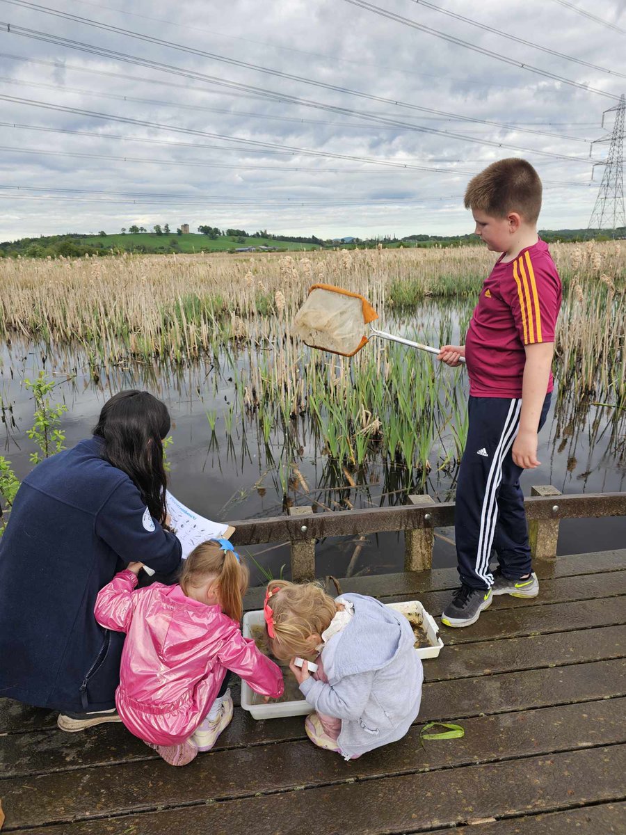 active8sauchie2's tweet image. Great day with the our families yesterday down at the Wetlands, thanks to #climateforth for organising pond dipping and scavenger hunt 🙂 #familylearning #communities @rspballoa