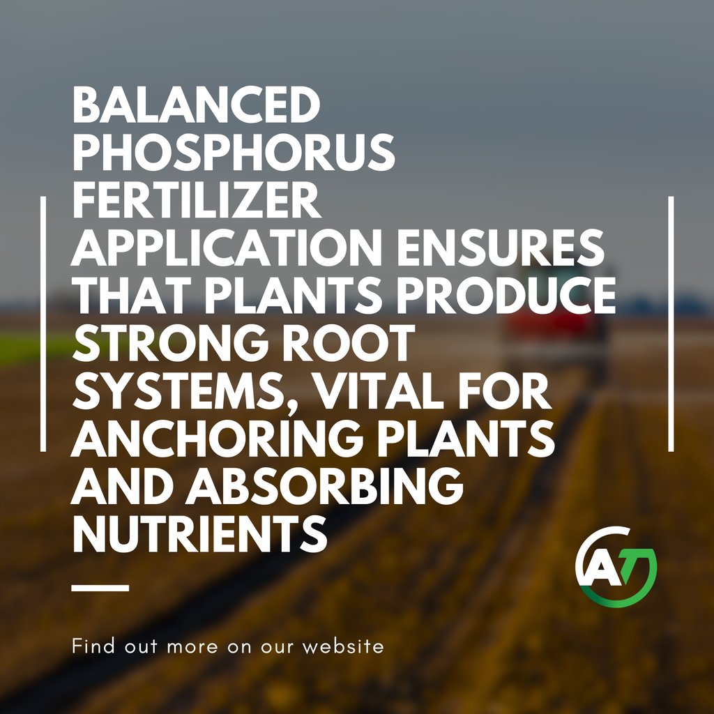 Strong Roots for a Sustainable Future! 

Read more 👉 agrotechusa.com/post/navigatin…

#AgroTechUSA #SustainableFarming #PhosphorusManagement #AgricultureInnovation #RootHealth