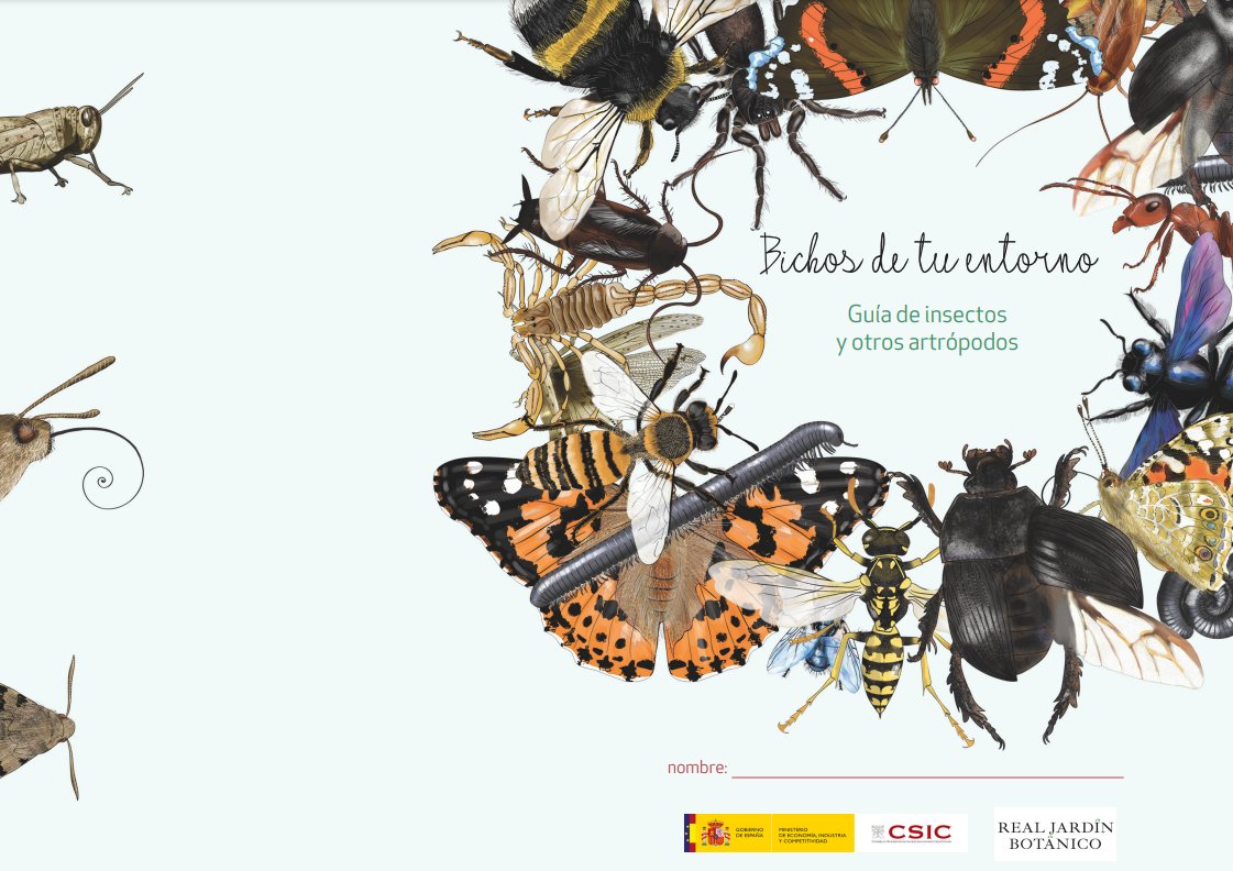 🐞🦗🔍Ya puedes descargarte la guía «Bichos de tu entorno» de @RJBOTANICO 🐝Podrás identificar los insectos que te rodean y descubrir otros nuevos🪱 👇Puedes descargarla aquí👇 rjb.csic.es/wp-content/upl…