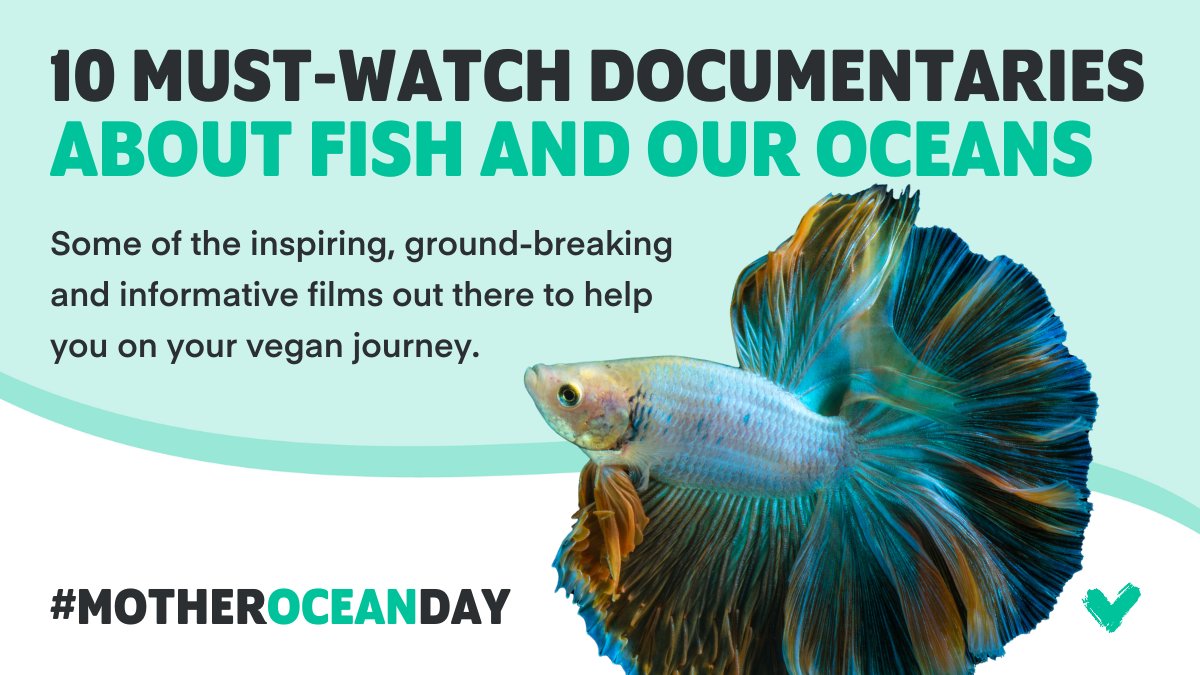 To celebrate #MotherOceanDay, here are 10 documentaries about fish and our oceans. 🌊⁠ 1. Watson 2. Seaspiracy 3. Blackfish 4. A Plastic Ocean 5. Chasing Coral 6. The Blue Planet / The Blue Planet II 7. Mission Blue 8. My Octopus Teacher 9. The Last Ocean 10. The Cove