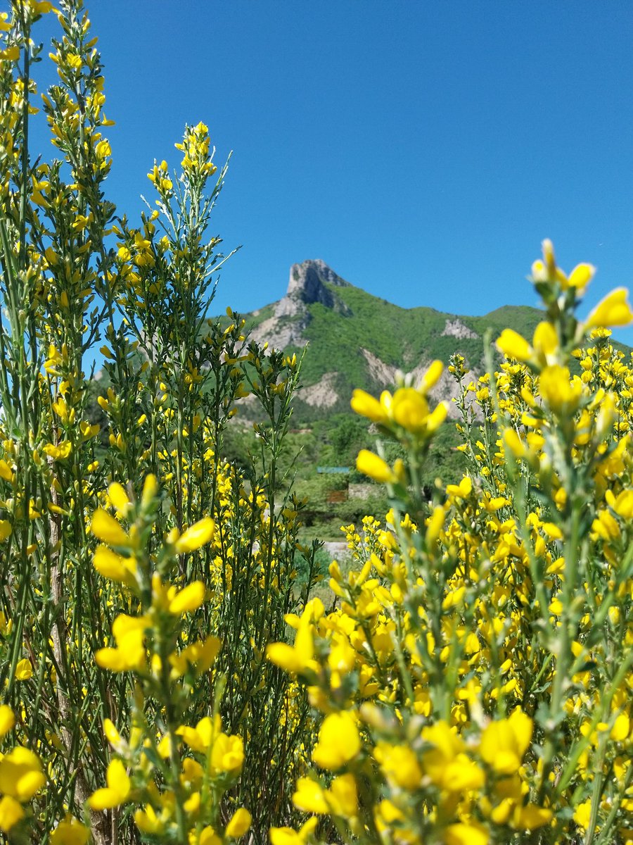 Coeur serré et vaillant, mennivrant des colines, îles au trésor, fleurs divines,j'allais cueillir un bouquet pour maman,boutons d'or capucine, pour ses bisoux son sourire,de tout trésors je l'avoue je garderai auprès de moi,son doux baiser sur ma joue. 🐣🌹