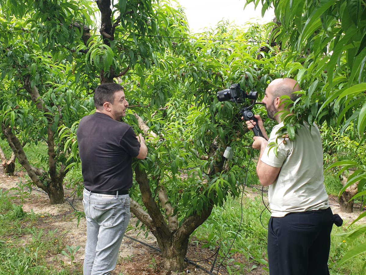 RevolveMediaCo's tweet image. #Sustainability Speaks Louder Than Words! 🌱🎙️

At #REVOLVE, we walk the talk. Our recent field interview at @dimitratech peach orchards is a great example of our commitment to authentic communication in the heart of nature.

With a #TripleBottomLine approach, we're here to