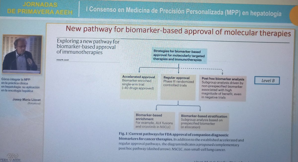 #PrecisionMedicine holds promise for better tailoring of care. Achieving the right balance between #PrecisionMedicine and #PersonalizedMedicine is still an umet need. Ending the I Consenso #MPPHep with a comprehensive lecture from Professor Llovet. @AEEHLiver #LiverTwitter