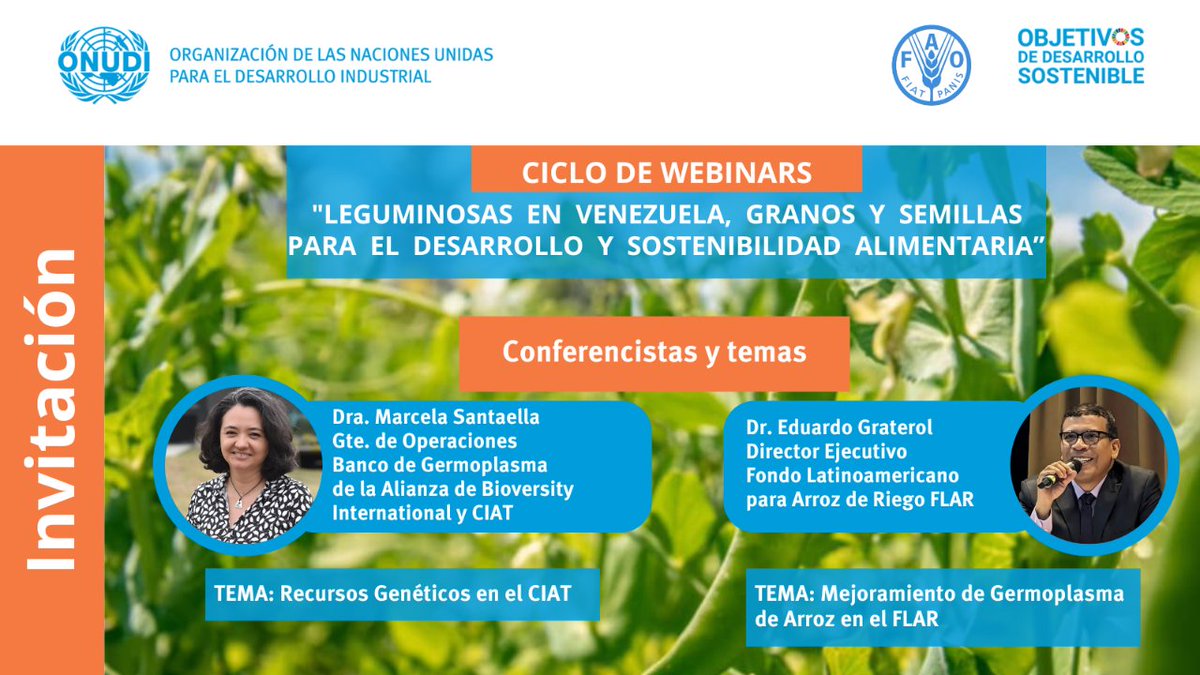 📢 INVITACIÓN| 1ra. Sesión del CICLO DE WEBINARS 'Leguminosas en Venezuela: granos y semillas para el desarrollo y sostenibilidad alimentaria” ✍Regístrate y participa 👉 acortar.link/2HtGQF Detalles de la conferencia en el post 👇