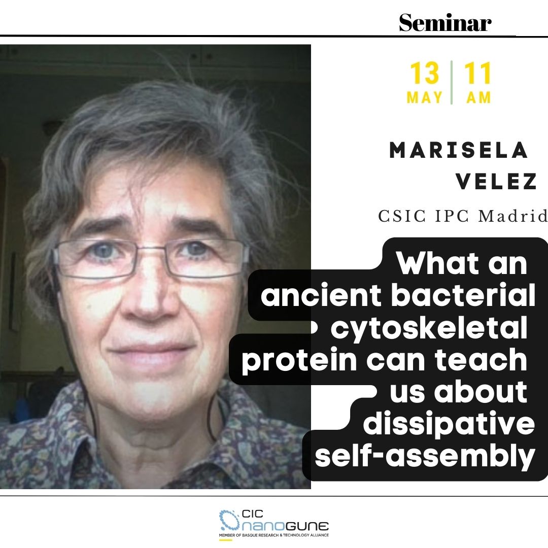 #NANOGUNESEMINARS 📆 13 MAY 2024, 11 am 👉 What an ancient bacterial cytoskeletal protein can teach us about dissipative self-assembly 🗣️ Marisela Velez, CSIC ICP Madrid