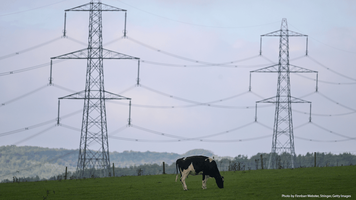 ⚡️ 'Reconductoring represents a rare near-term solution for advancing towards net zero targets' 🚨🔋 NEW: @shunsakerjr on why short- and long-term solutions are needed to transform the UK electricity system. ukandeu.ac.uk/transforming-t…