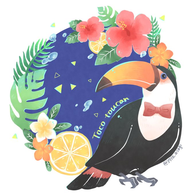 「flower penguin」 illustration images(Latest)