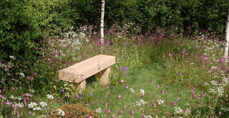 🌱 @rolawn partners with @wildflowerturf to “create more biodiverse spaces” 🌳 The company says it is “excited” to see how the pair’s collaboration will help the industry make a “greater contribution” to #biodiversitynetgain. Read more 👉 buff.ly/3WvJHir