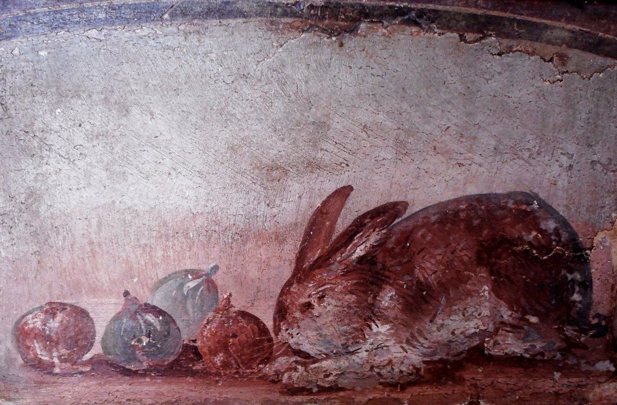 #FrescoFriday 
Conejo y cuatro higos (45-79 a. C.) 
#Herculaneum #Art 
🏛️ Museo Arqueológico Nacional de Nápoles 🇮🇹 
#Historia #Roma