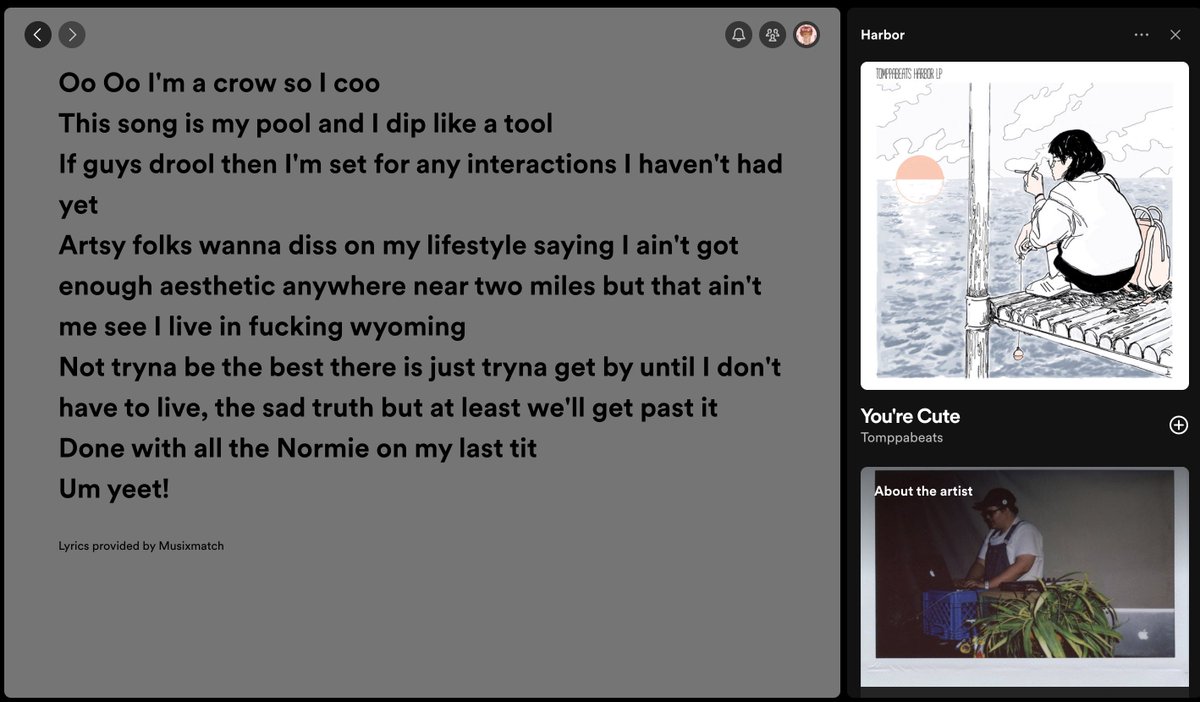 hey what the FUCK is going on with this tomppabeats song's lyrics on spotify