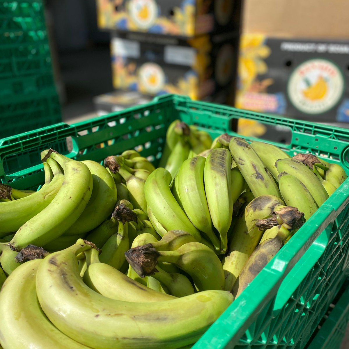 We’ve gone bananas! 🍌 If the first 20 tonnes of bananas wasn't enough to get you thinking about Banoffee Pie, then how about 40 tonnes?! We’ve received another fantastic #donation this week! Frozen banana ice lollies anyone? For more recipe ideas visit: buff.ly/3utVgLr